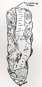 Palaeolithic or Mesolithic implement found in New Bedford Road allotments